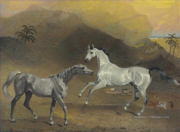 chevaux sauvages jouant dans les animaux de montagne Peinture à l'huile